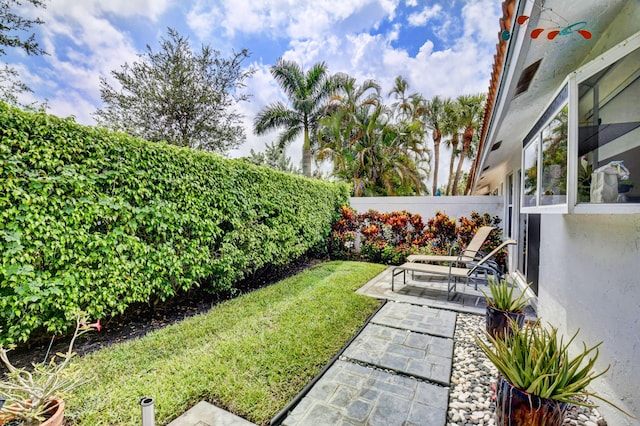 view of yard with a patio area