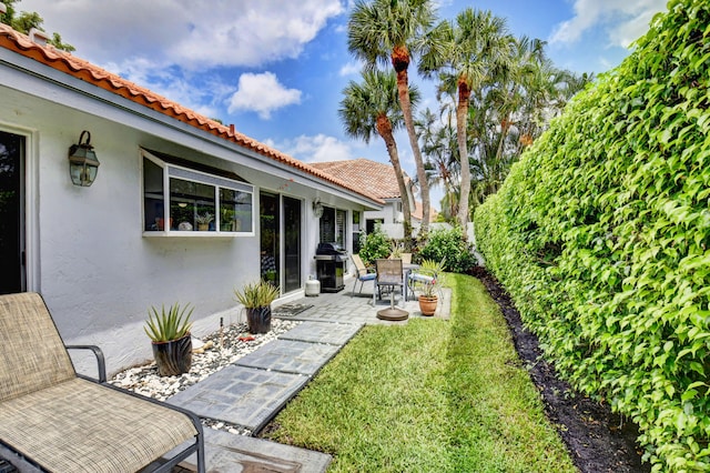 view of yard featuring a patio area