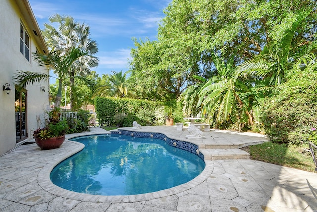 view of pool featuring a patio area