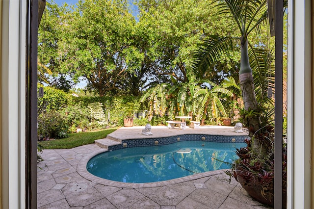 view of pool featuring a patio