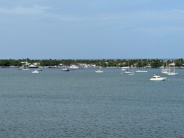 property view of water