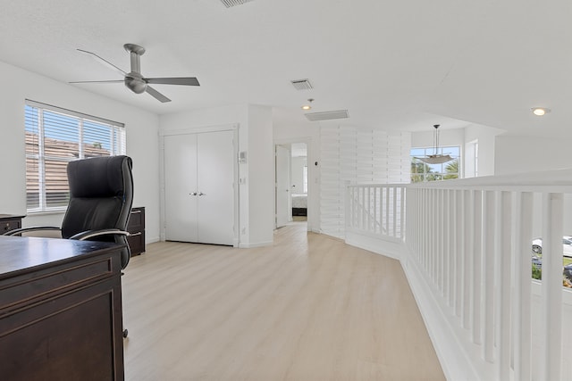 office space featuring a healthy amount of sunlight, ceiling fan, and light hardwood / wood-style flooring