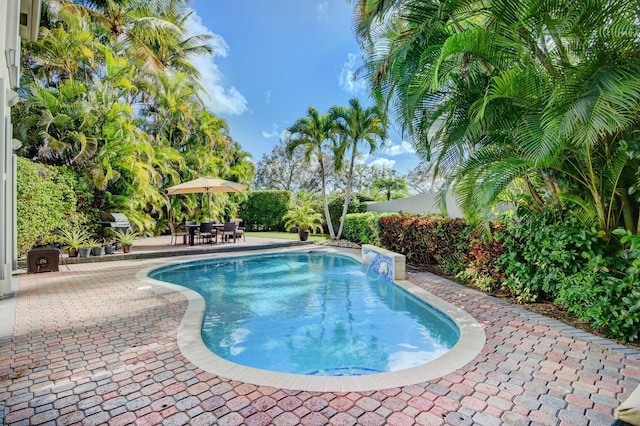 view of swimming pool featuring a patio area and pool water feature