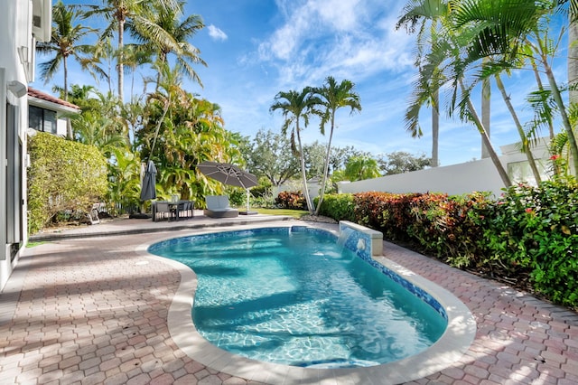 view of pool featuring pool water feature and a patio