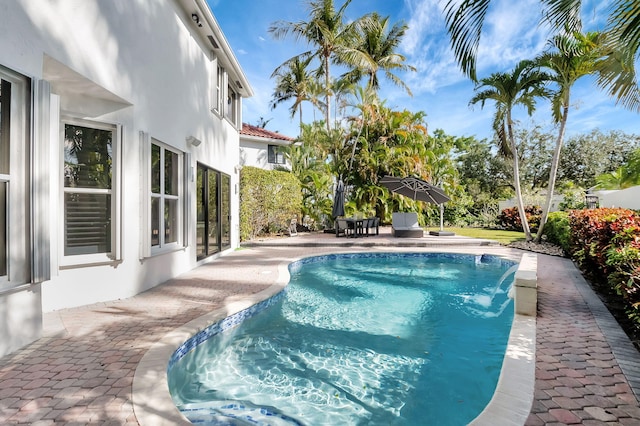 view of swimming pool with a patio area