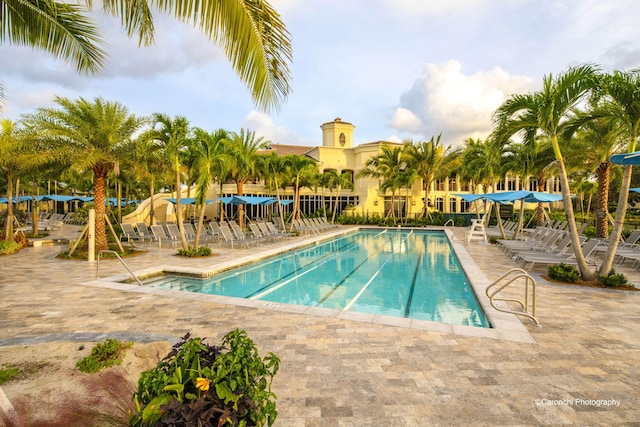 view of pool featuring a patio