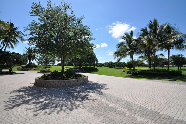 view of community featuring a yard