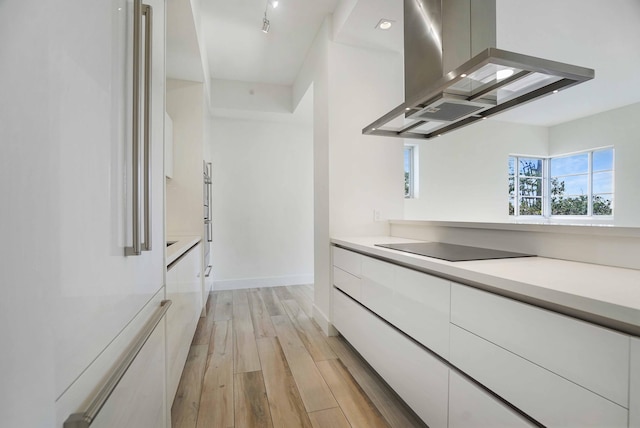 spacious closet with light wood-type flooring