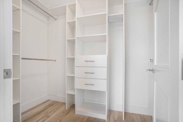 spacious closet featuring light hardwood / wood-style floors