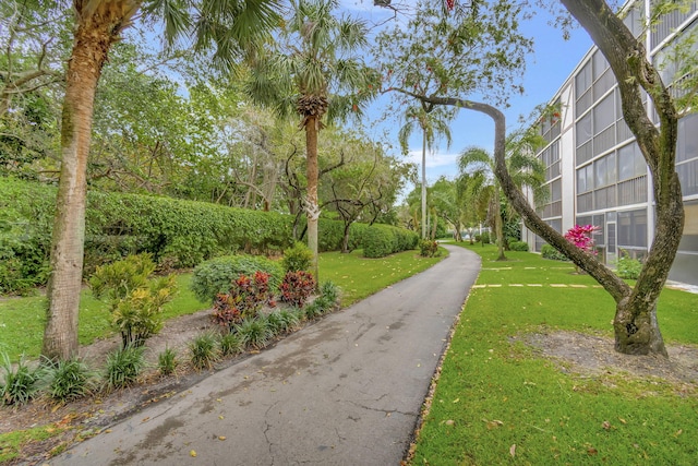 view of property's community with a lawn