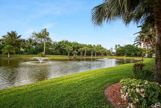 view of water feature