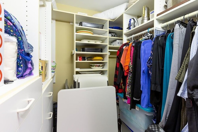 view of spacious closet