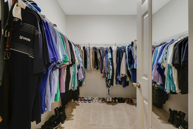 walk in closet featuring light colored carpet