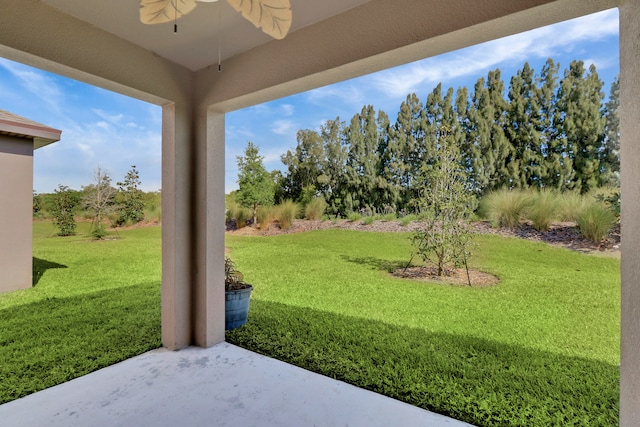 view of yard featuring a patio