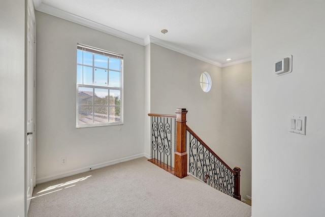 hall with plenty of natural light, carpet, and ornamental molding