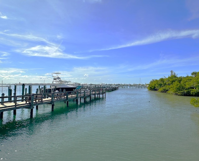 dock area with a water view