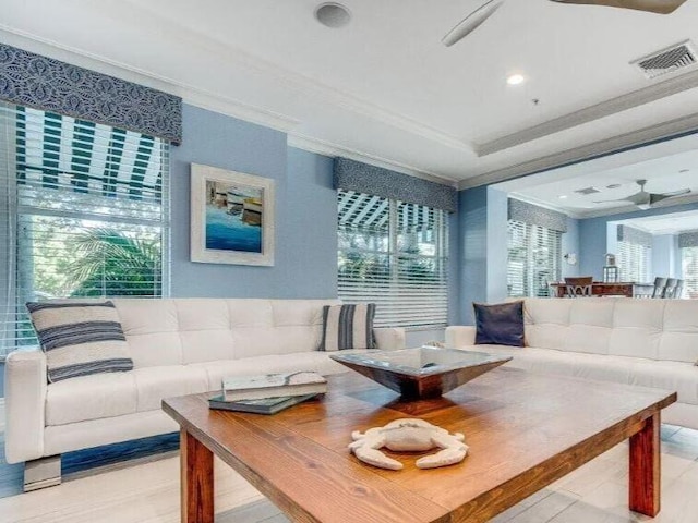 living room with a raised ceiling, a healthy amount of sunlight, and ceiling fan