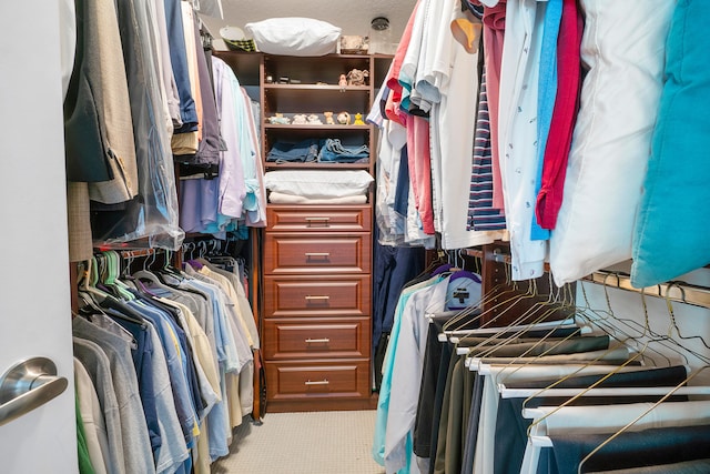 walk in closet with light carpet