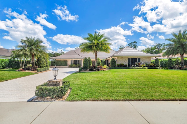 ranch-style home with a front yard