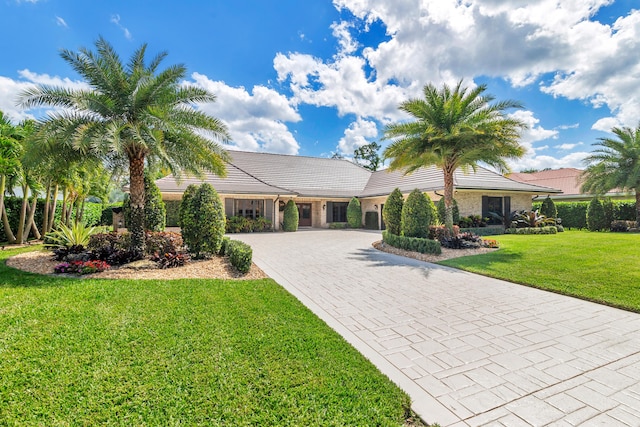 ranch-style home featuring a front yard