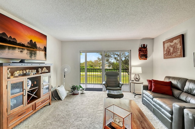 carpeted living room featuring a textured ceiling