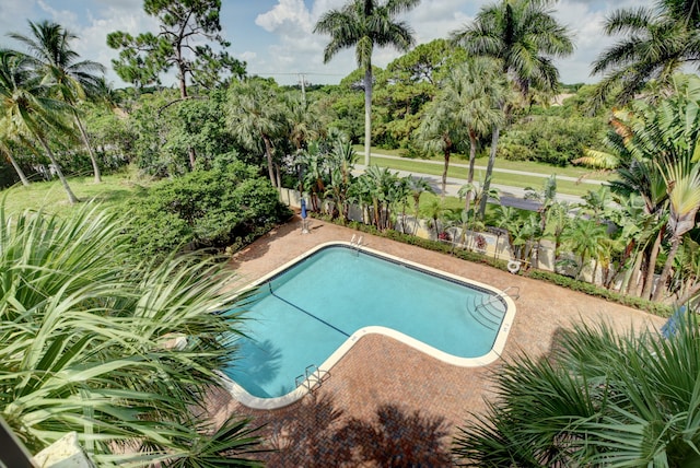 view of swimming pool