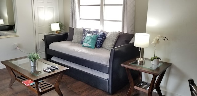 living room featuring dark hardwood / wood-style floors