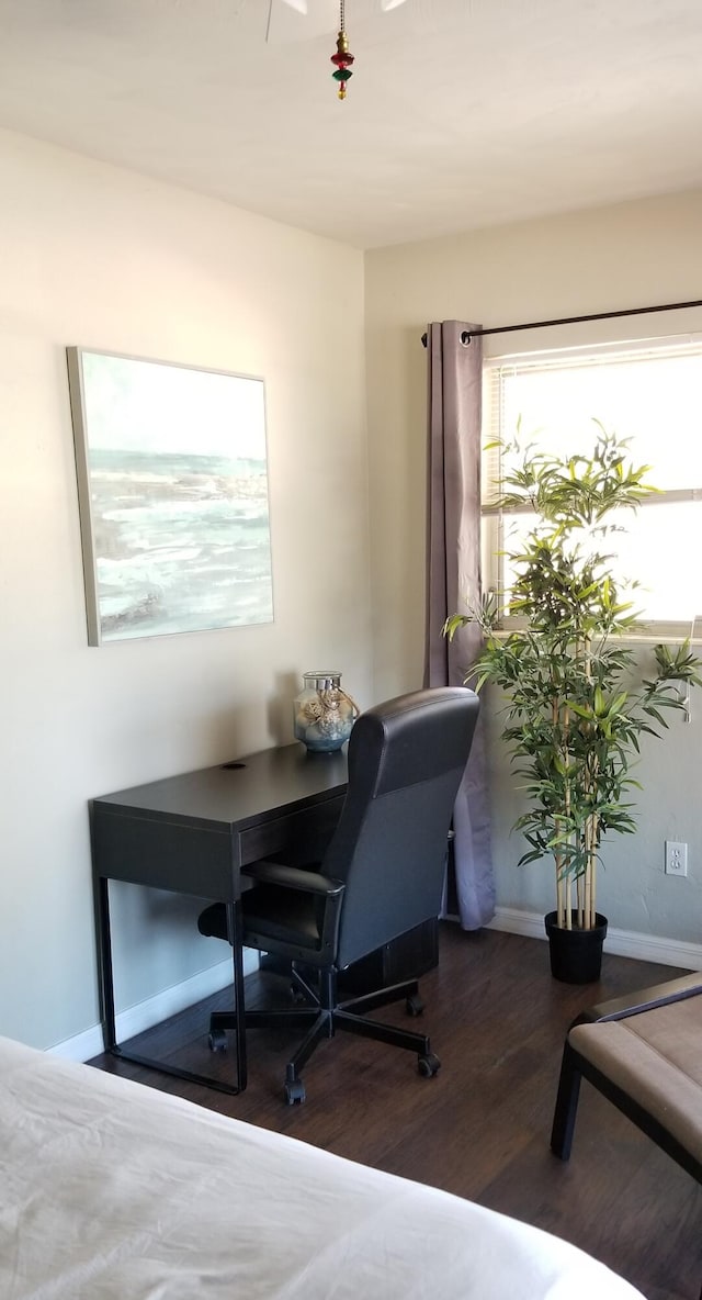 office with dark hardwood / wood-style floors