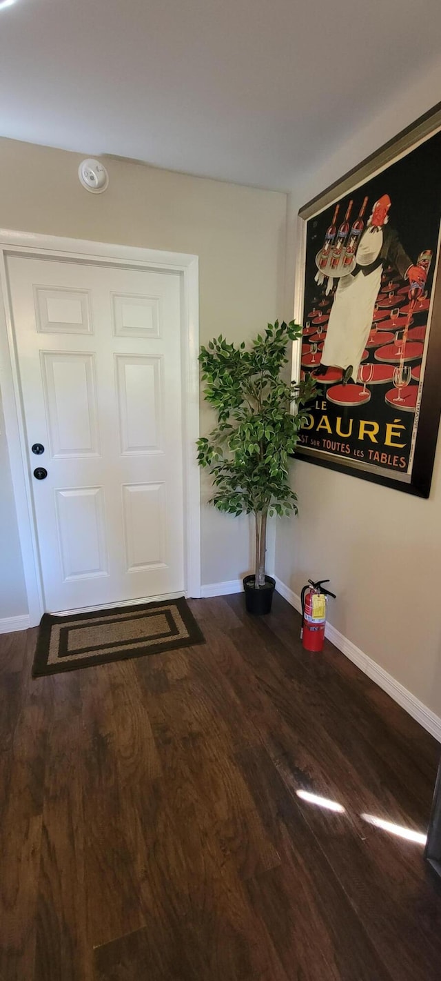 entrance foyer featuring dark hardwood / wood-style floors