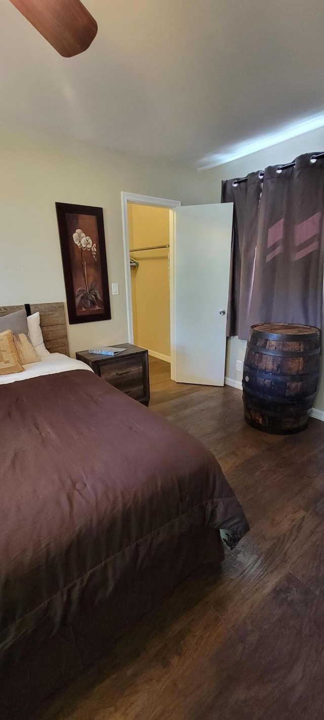 bedroom with a closet, a walk in closet, and dark wood-type flooring