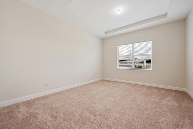 unfurnished room featuring a raised ceiling and light carpet