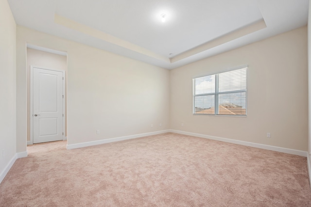 spare room featuring light colored carpet and a raised ceiling