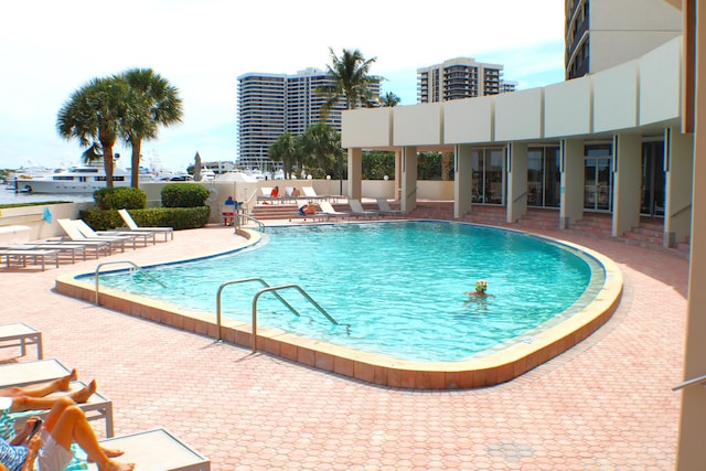 view of pool with a patio