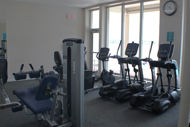 workout area featuring carpet