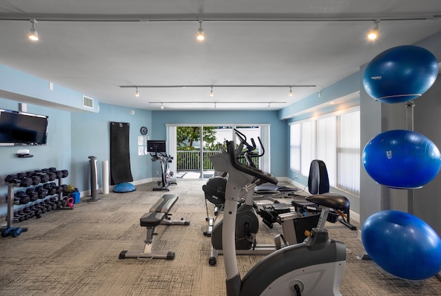 workout area with track lighting and carpet floors