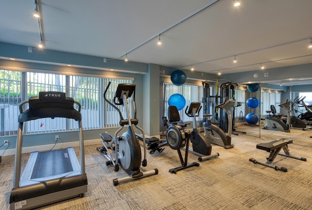 workout area featuring rail lighting and carpet floors