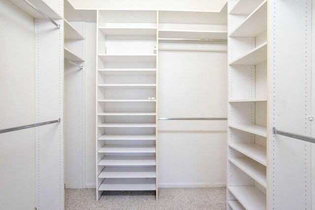 walk in closet featuring light colored carpet