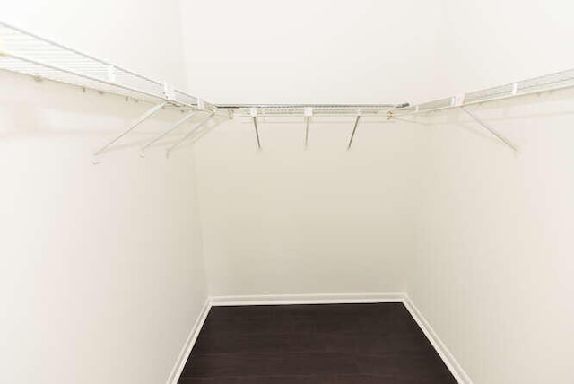 walk in closet with hardwood / wood-style flooring