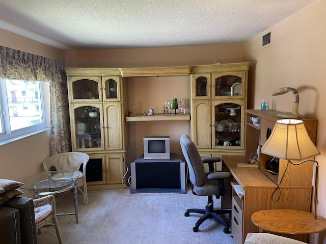 office featuring carpet floors and a textured ceiling