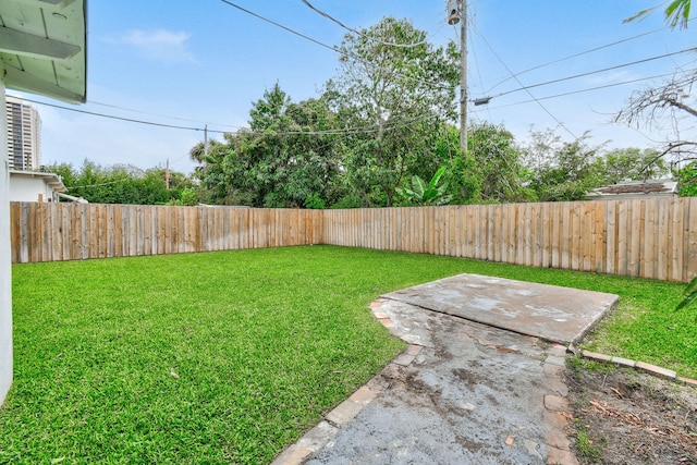 view of yard featuring a patio