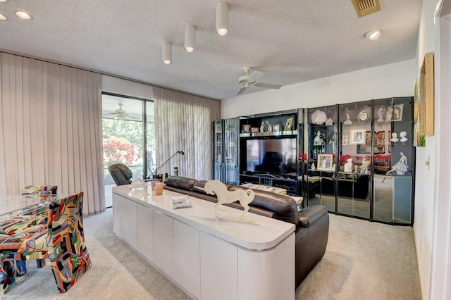 carpeted living room with a textured ceiling