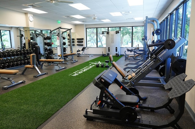 workout area featuring a drop ceiling, a wealth of natural light, and ceiling fan