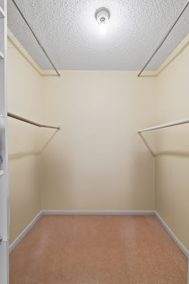 walk in closet featuring light carpet