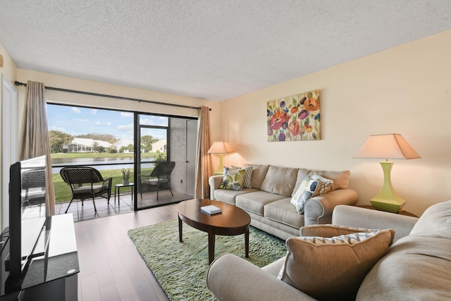 living room with a textured ceiling and hardwood / wood-style flooring