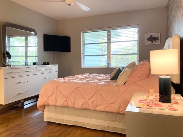 bedroom featuring dark hardwood / wood-style floors, ceiling fan, and multiple windows