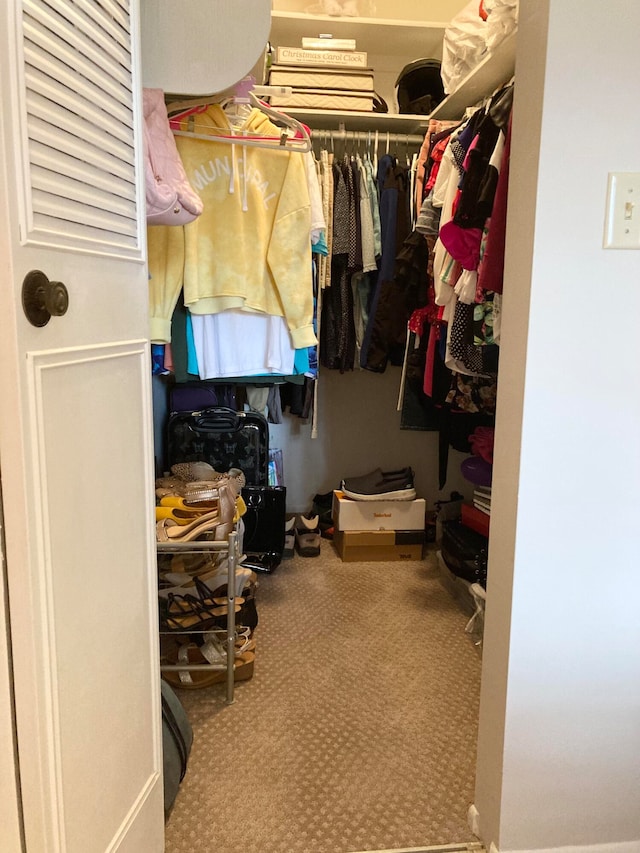 walk in closet with light colored carpet