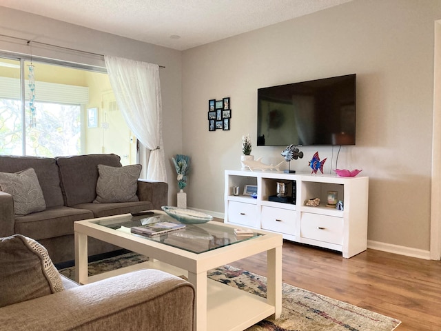 living room featuring hardwood / wood-style flooring