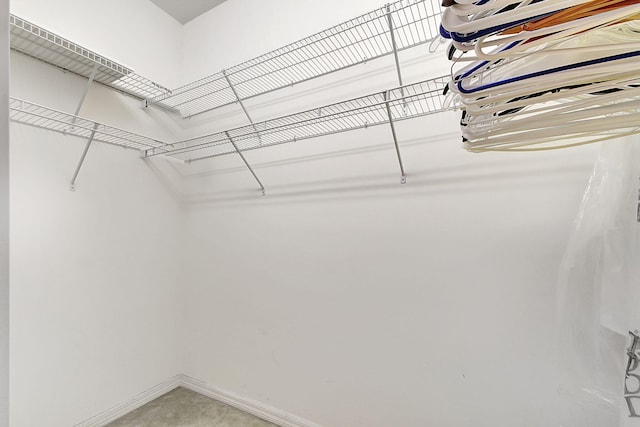 view of spacious closet