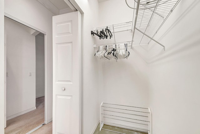 walk in closet featuring light colored carpet