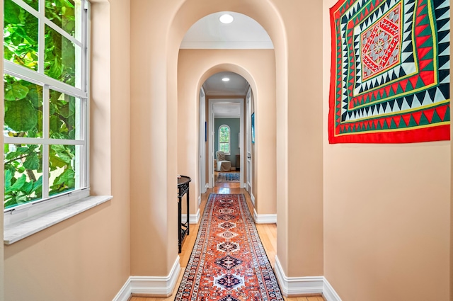 hall featuring light hardwood / wood-style flooring, a healthy amount of sunlight, and crown molding